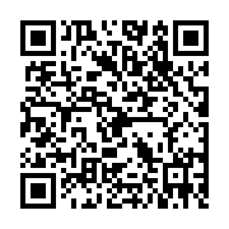 QR code for NN 2010