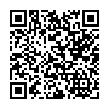QR code for NN 3385
