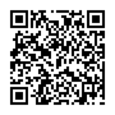 QR code for NN 3991