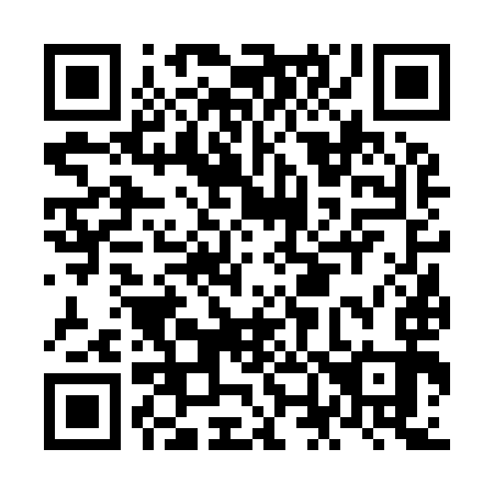 QR code for NN 6993