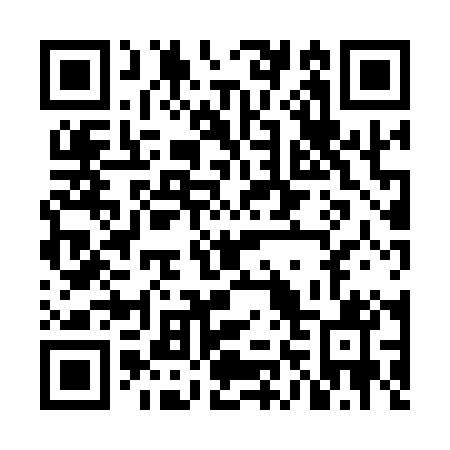 QR code for NN 8101