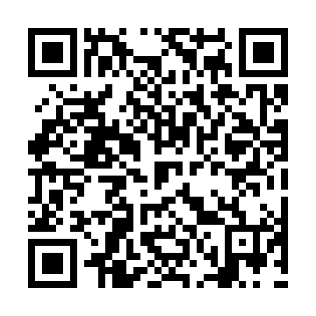 QR code for NN0384