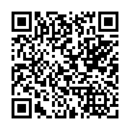 QR code for plate NN 0696