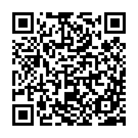 QR code for NN2447