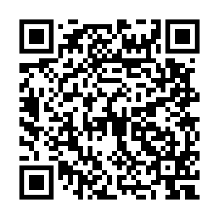 QR code for NN3595