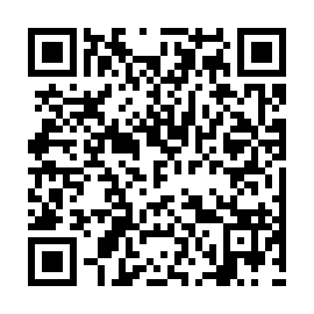 QR code for NN6393