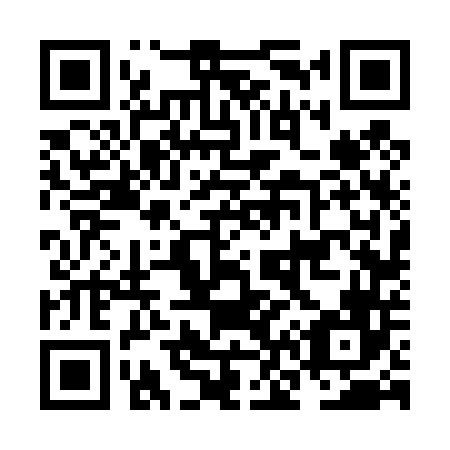 QR code for NN6446
