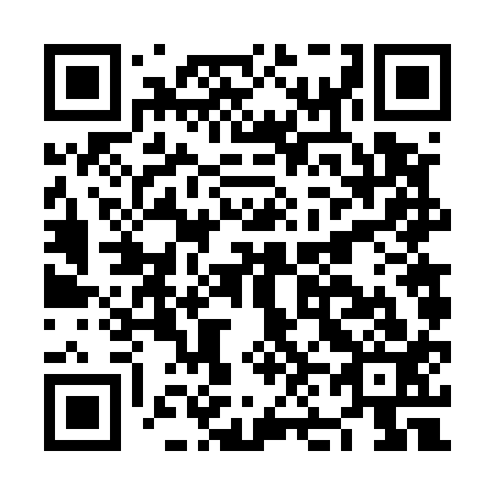 QR code for NN6513