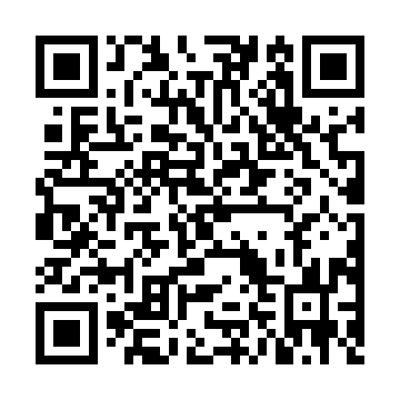 QR code for NN6593
