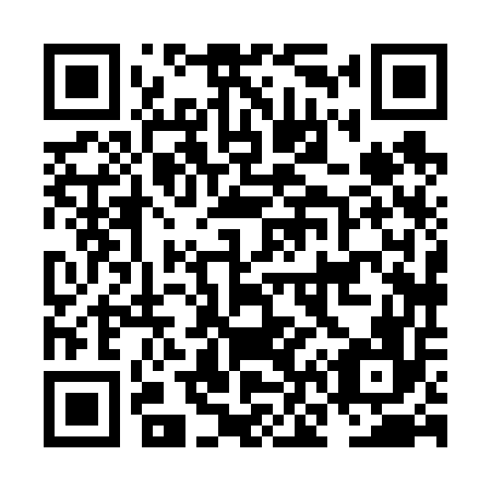 QR code for plate NN 8656