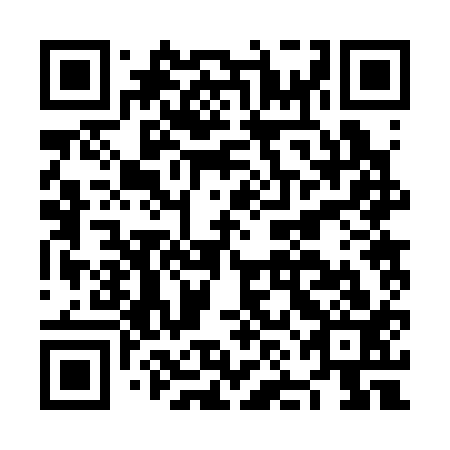 QR code for plate NNB 313