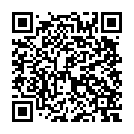 QR code for plate NNB 403