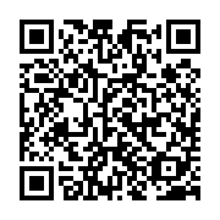 QR code for plate NNB 509