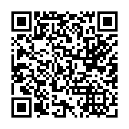 QR code for NNE 919