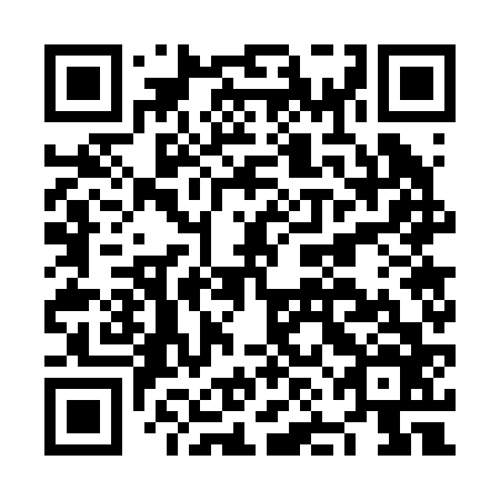 QR code for NNG 266