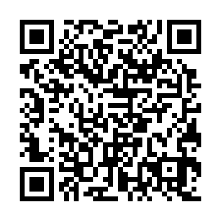QR code for NNG 333