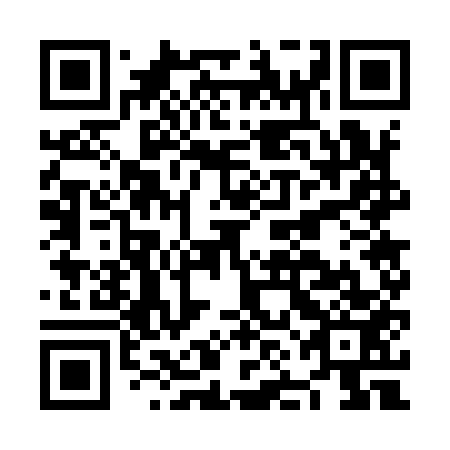 QR code for NNG 953
