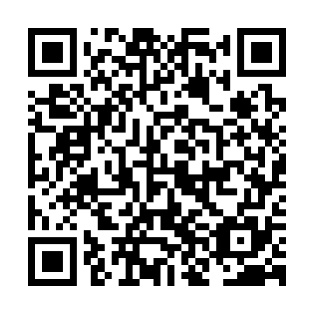 QR code for plate NNG 375