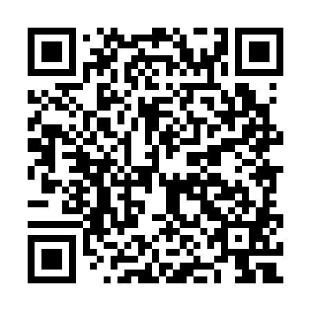 QR code for NNH 381