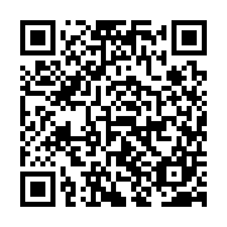 QR code for NNI307