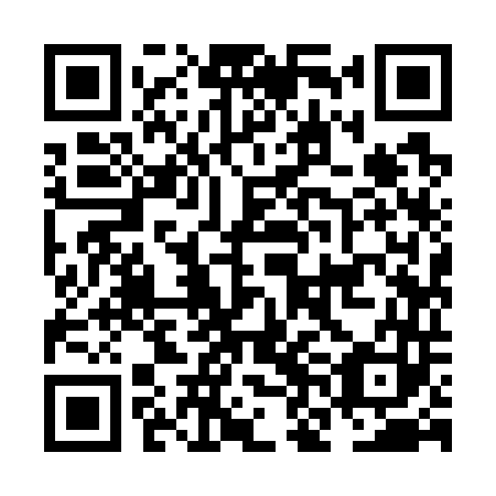 QR code for plate NNI 743