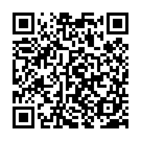 QR code for plate NNK 441