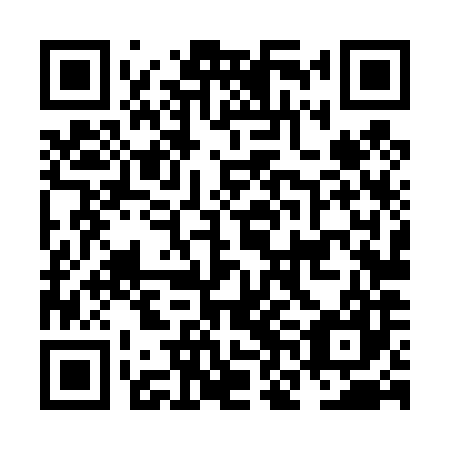 QR code for NNL 487