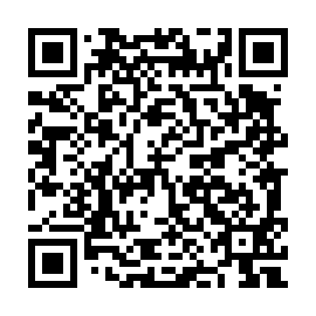 QR code for NNL 491