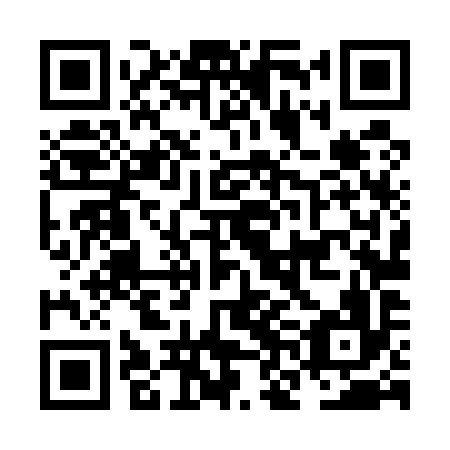 QR code for NNL 596