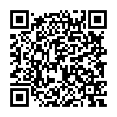 QR code for NNL 875