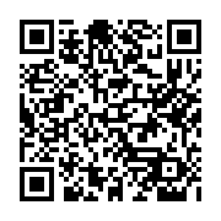 QR code for plate NNL 379