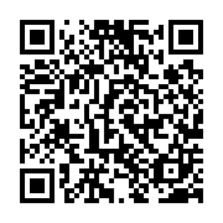 QR code for plate NNL 703