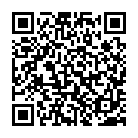 QR code for plate NNN 393