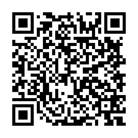 QR code for plate NNN 868