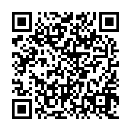 QR code for plate NNN 916