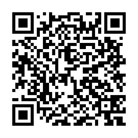 QR code for NNO538