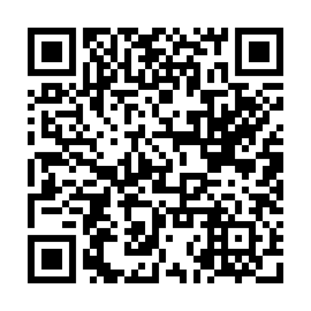 QR code for plate NNQ 382