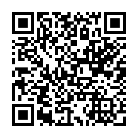 QR code for NNS 370