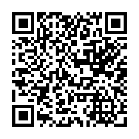 QR code for NNS 384