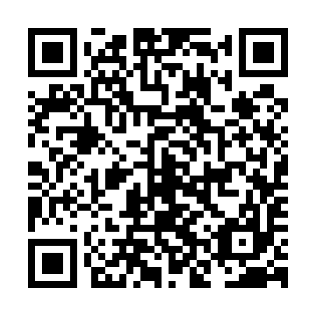 QR code for NNS 597