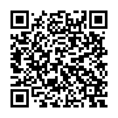 QR code for plate NNS 503