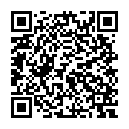 QR code for plate NNS 741