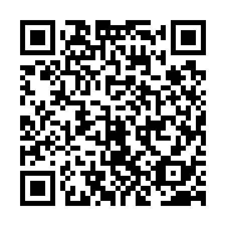 QR code for plate NNU 738