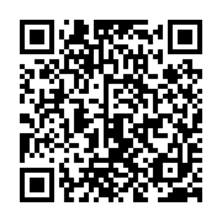 QR code for plate NNW 293