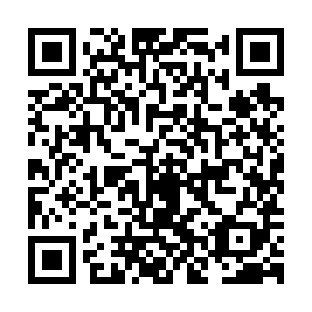 QR code for plate NNY 689