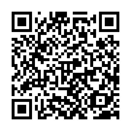 QR code for NO 0228
