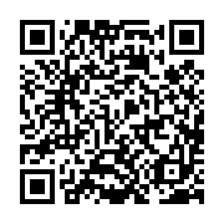 QR code for NO 0493