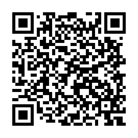 QR code for NO 0597