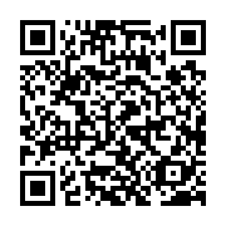 QR code for NO 0728