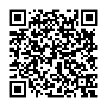 QR code for NO 0838